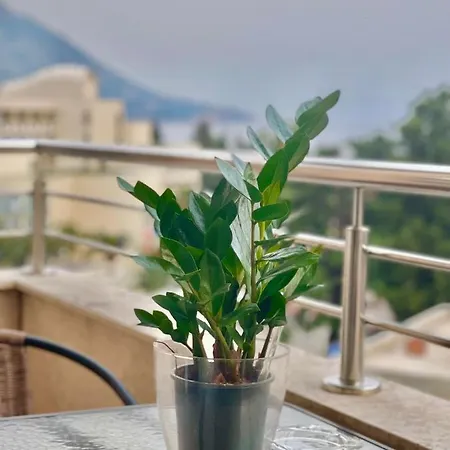 Boreta Becici Apartment Budva
