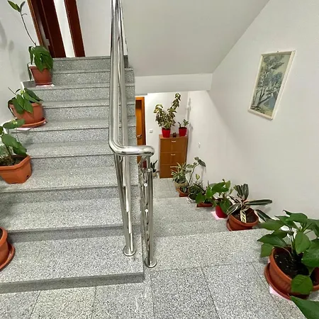 Apartment Boreta Becici